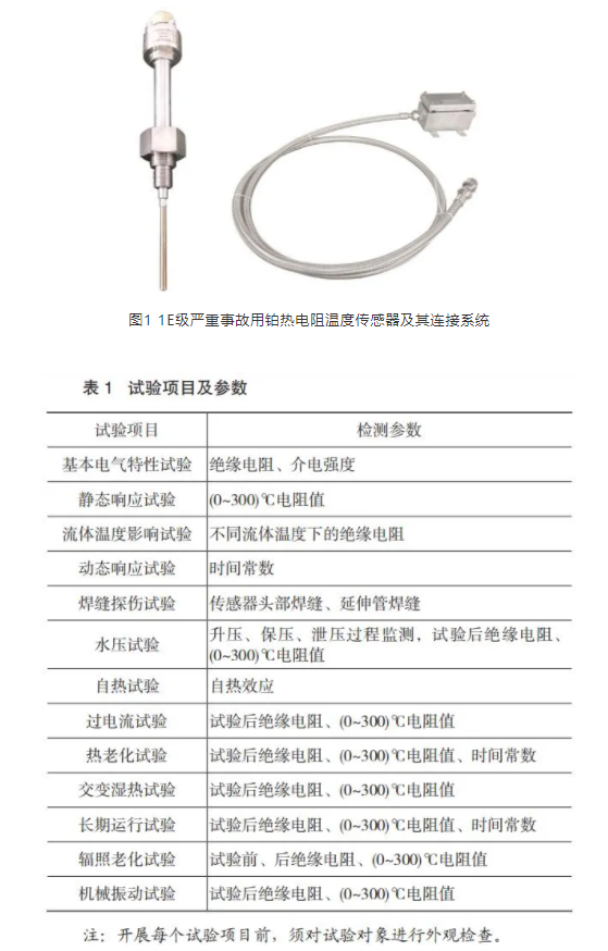 圖1 1E級嚴重事故用鉑熱電阻溫度傳感器及其連接系統(tǒng)